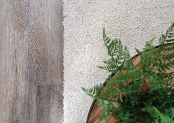 Cream-carpet-next-to-wood-flooring-with-green-houseplant