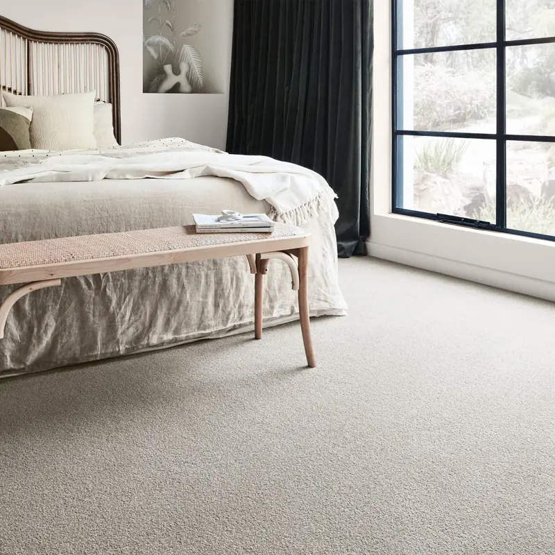 Soft grey plush carpet flooring in bright bedroom